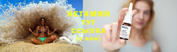 индика Мегион