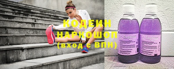 индика Мегион