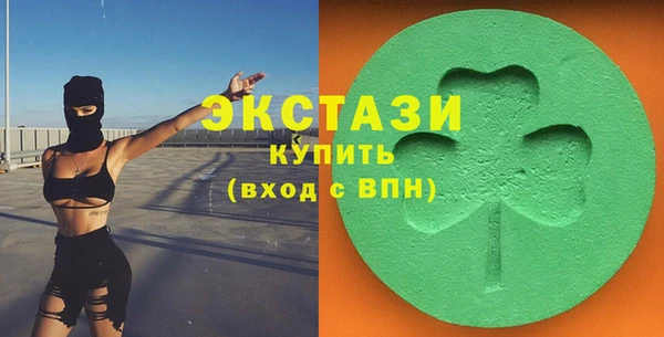индика Мегион