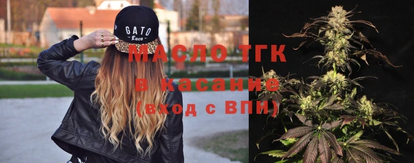 индика Мегион