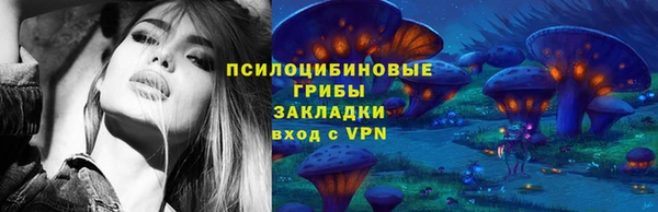 стафф Струнино