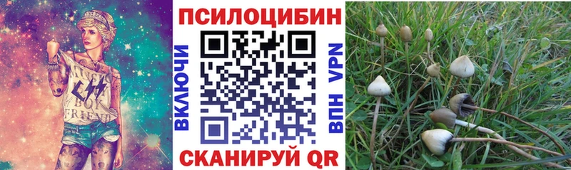 Галлюциногенные грибы Psilocybine cubensis  Усть-Кут 
